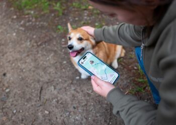 If You’d Invested $1,000 in Dogecoin 5 Years Ago, Here’s How Much You’d Have Today