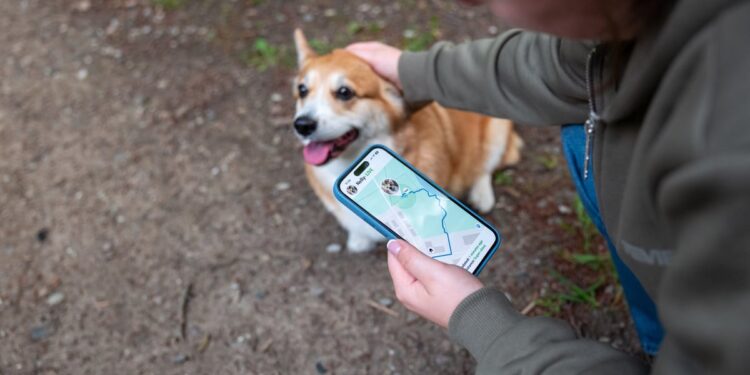 If You’d Invested $1,000 in Dogecoin 5 Years Ago, Here’s How Much You’d Have Today