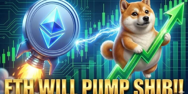 Shiba Inu Eyes Potential Rebound as Ethereum Tokenization Expands