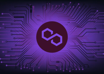 Polygon Price Rises 10% as Burn Rate Jumps and Payments Hit Records