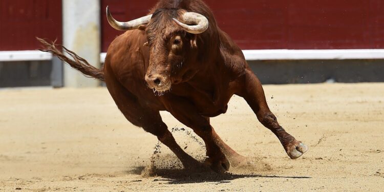 Why Altcoins Like Zcash, Lighter, HBAR, Pippin are Going Up