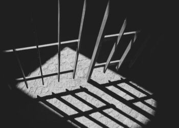 Jail and BD100,000 fine for cryptocurrency fraudster