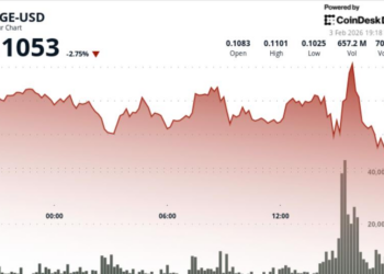 Dogecoin falls 7% as risk-off trade hits Ethereum tied tokens