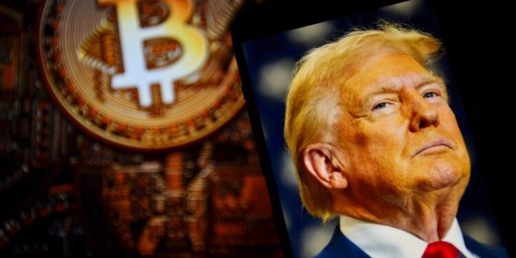 Ross Gerber Slams Trump And Melania Memecoin Hype For Spooking Crypto Investors: ‘Money Doesn’t Come Back’