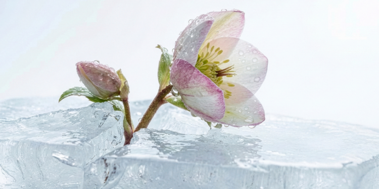 Your JitoSOL cheat sheet