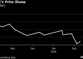 Bitcoin Whales Are Buying Again as Other Investors Retreat