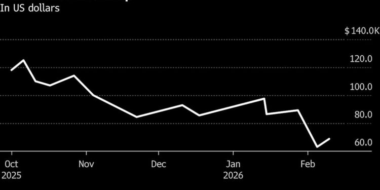 Bitcoin Whales Are Buying Again as Other Investors Retreat