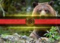 This Bitcoin Indicator Just Flashed Red After 3 Years