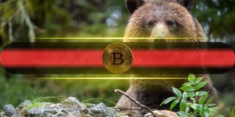 This Bitcoin Indicator Just Flashed Red After 3 Years