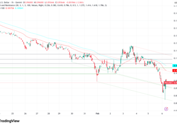 Polygon (POL) Plummets to $0.09 Amid Market Liquidation: Can On-Chain Utility Spark a Rebound?