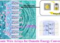 High‑density 1D ionic wire arrays for osmotic energy conversion
