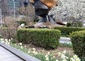 This Is the Best Free Attraction in New York City