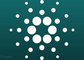 Cardano Whales Scoop Up Nearly 1 Billion ADA, Fueling Super Bullish Momentum ⋆ ZyCrypto