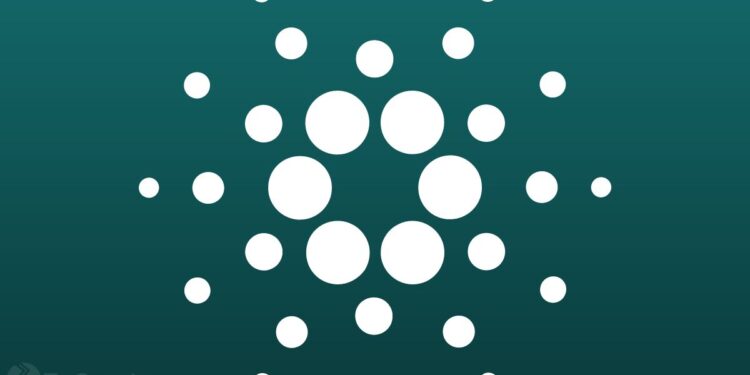 Cardano Whales Scoop Up Nearly 1 Billion ADA, Fueling Super Bullish Momentum ⋆ ZyCrypto