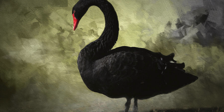 Cryptocurrency markets suffered a single-day liquidation of $2.2 billion, following gold and silver in experiencing a “Black Sunday.”