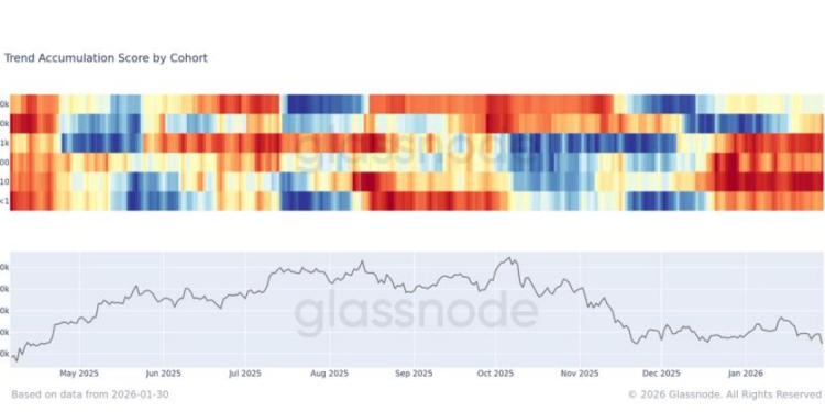 ‘Whales’ are buying the dip while everyone else runs for the exits