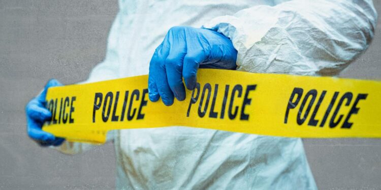 French judge and her mother freed after a cryptocurrency-linked abduction