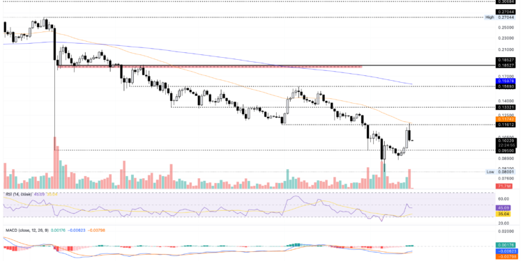 Dogecoin, Zcash, Bonk – Meme and Privacy coins under pressure