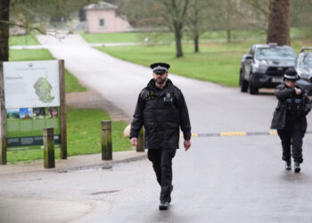 Prince Andrew arrested – why not King Trump?