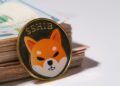 The Shiba Inu team has warned of a new scam.