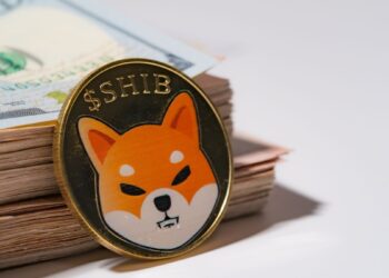 The Shiba Inu team has warned of a new scam.