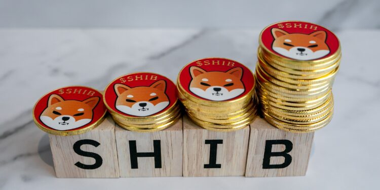 Shiba Inu Risks Falling Out of Top 30 Crypto Rankings