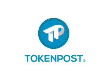 Crypto Market Rebounds: Dogecoin, Solana, and Cardano Signal Potential Upside