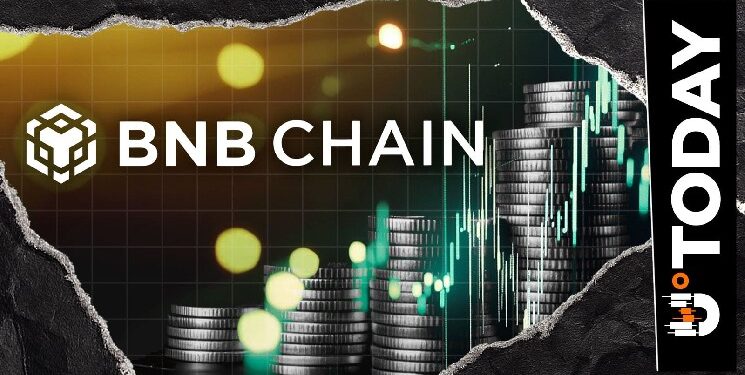 Binance’s BNB Chain Grows 33% in Just 30 Days in RWA Sector
