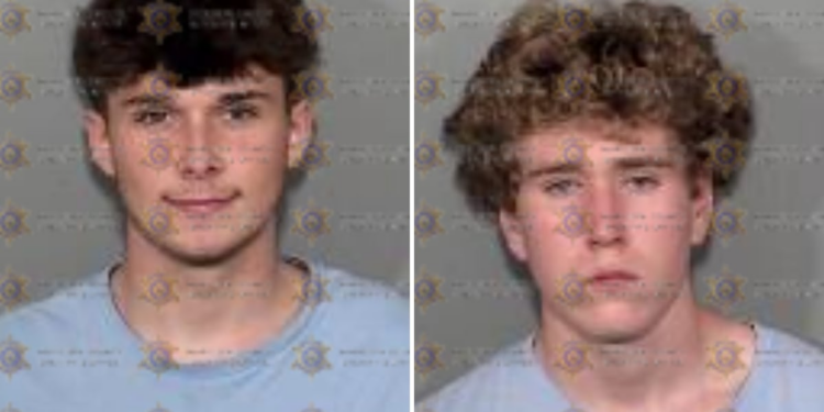 Teenage Scottsdale home burglars tried to steal $66 million in crypto, police say