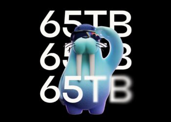 Allium Brings 65TB of Data from Bitcoin, Ethereum, Sui and More to Walrus