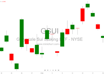 Overview, Risks, and Market Insights for SUI Investors – Minichart