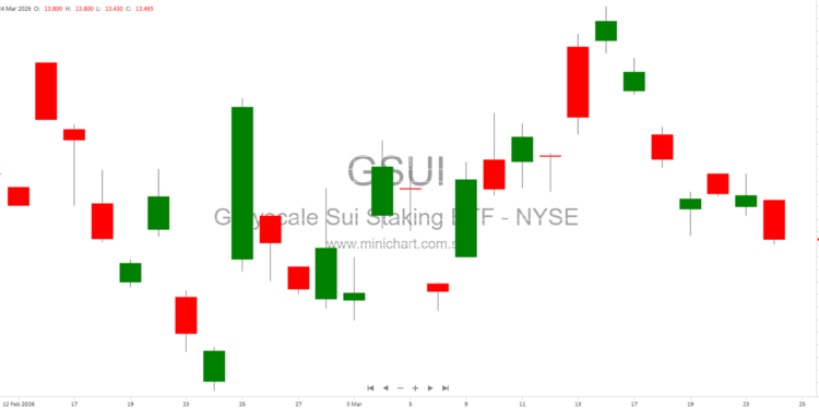 Overview, Risks, and Market Insights for SUI Investors – Minichart