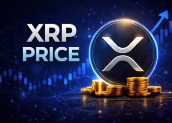 Polkadot Drops and BNB Holds but Pepeto’s Exchange