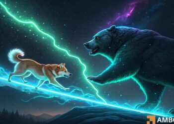 Shiba Inu’s bear run can continue for another 7 months – Here’s why