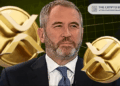 Ripple CEO Says Investors Will Be Very Happy in 5 Years