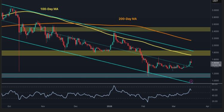 What’s Next for XRP After Reclaiming Key Resistance?