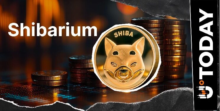 Shibarium Transactions Plunge 88%, What’s Behind It?
