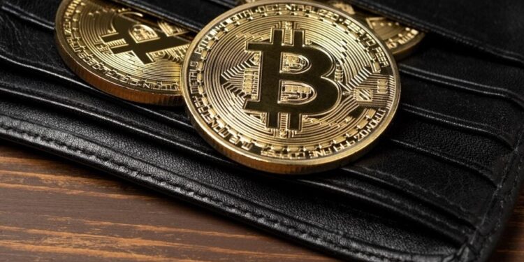 Bitcoin To $1.3 Million? Coinbase CEO Brian Armstrong Urges: ‘Own A Crypto Wallet’
