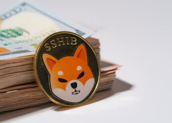 Dumping Shiba Inu Now Is Like Burning Your Own Money