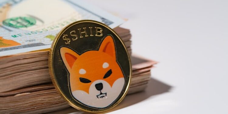 Dumping Shiba Inu Now Is Like Burning Your Own Money