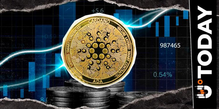 Most Cardano Holders Are Deeply Underwater