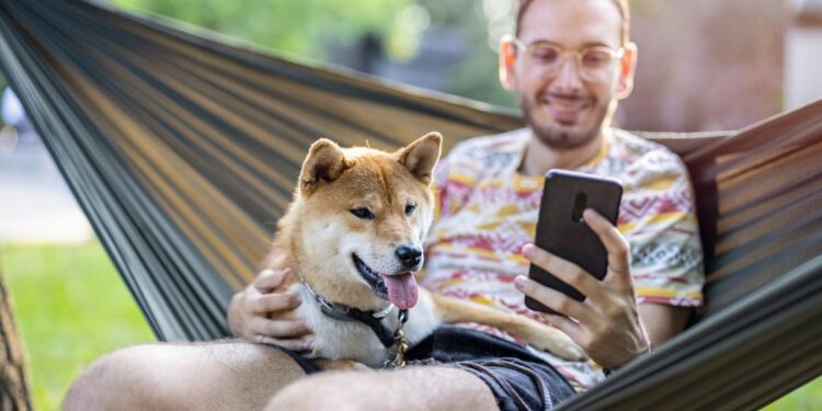 Dogecoin’s Slump Continues With Another 7% Decline Today: Here’s Why