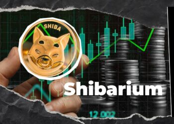 Shibarium Update: 33% Transaction Jump Registered as Network Activity Rebounds