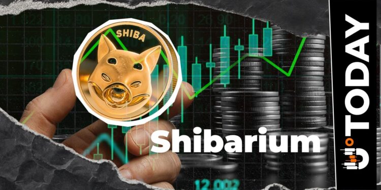 Shibarium Update: 33% Transaction Jump Registered as Network Activity Rebounds