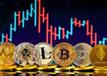 Establishing a legal framework and transparent risk management.