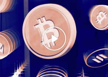 Opinion | A Bitcoin Evangelist Tries to Convert Me