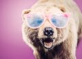 The Bear Case for Cryptocurrency That Every Investor Should Read