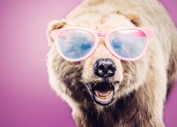 The Bear Case for Cryptocurrency That Every Investor Should Read