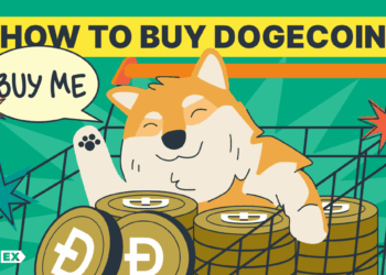 2026 Guide to DOGE Utility & Market Trends