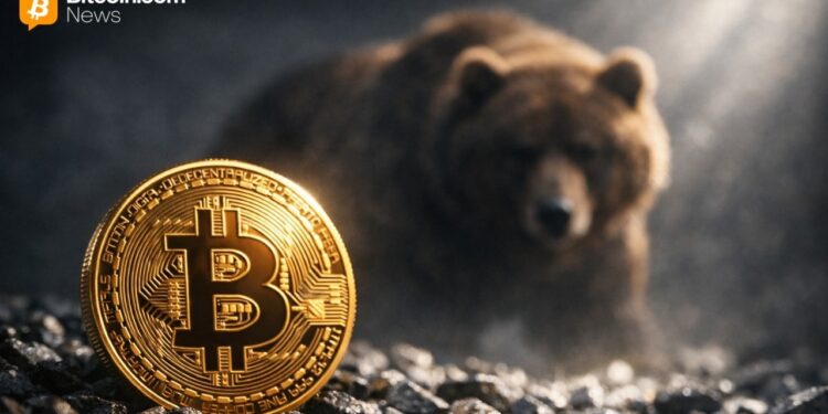 Strategist Sees Bitcoin Bear Signals, Warns Crypto Bust Could Push BTC to $10K – Markets and Prices Bitcoin News